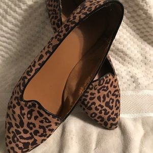 Cheetah flats
